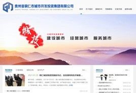 龙潭城市开发投资集团有限公司