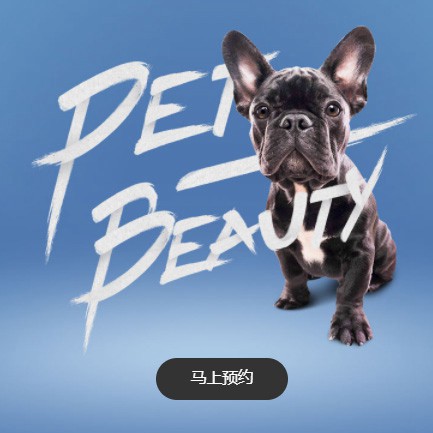 龙潭宠物中心小程序开发