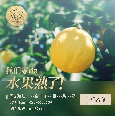 龙潭果园果林小程序开发